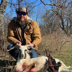 Meet your Posher, Beau